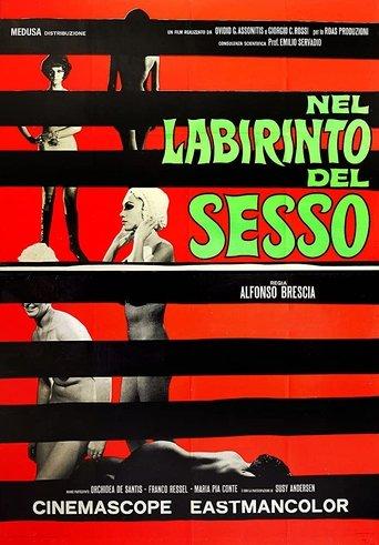 The Labyrinth of Sex (1969) poster