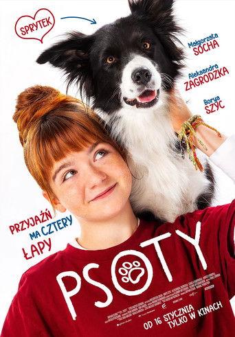 Psoty (2026) poster
