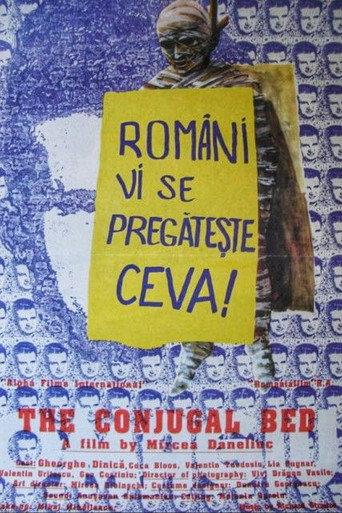 The Conjugal Bed (1993) poster