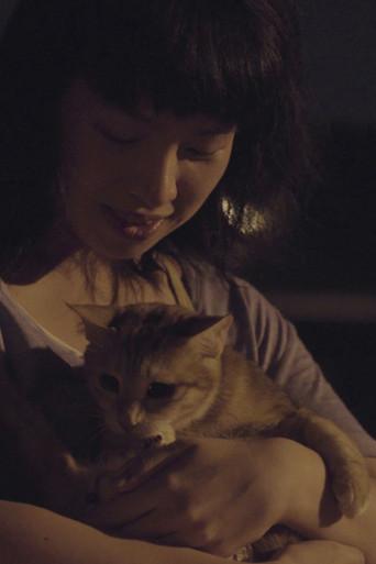 Stray Cat (2015) poster