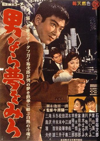 Dream Young Man's Dream (1959) poster