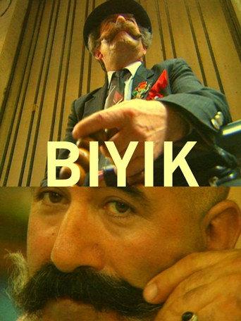 The Moustache (2000) poster