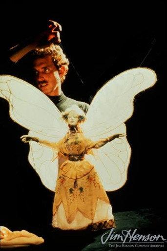The World Of Puppetry with Bruce Schwartz () poster
