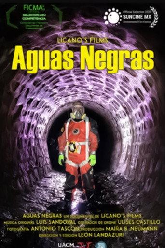 Aguas Negras (2020) poster