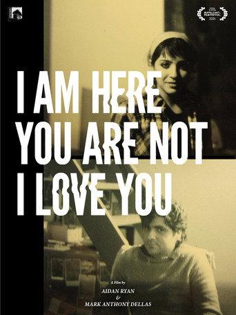 I Am Here You Are Not I Love You () poster