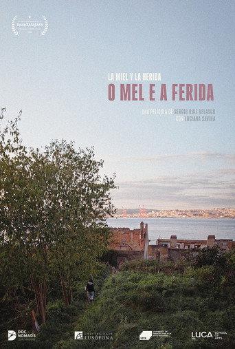 O mel e a ferida (2026) poster