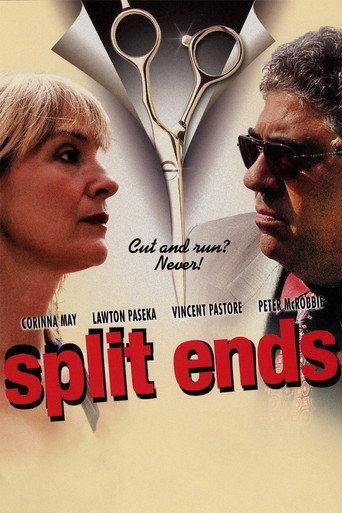 Split Ends (2009) poster