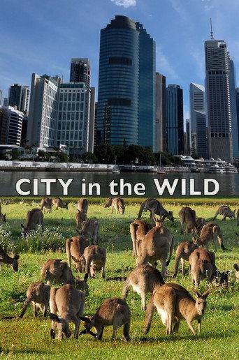 City In The Wild (2021) poster