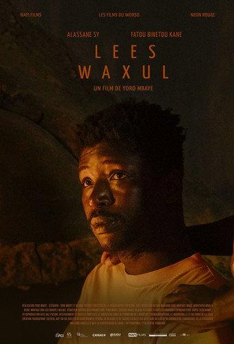Lees Waxul () poster