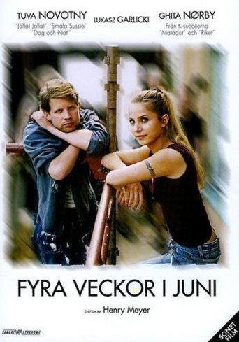 Four Weeks in June (2005) poster