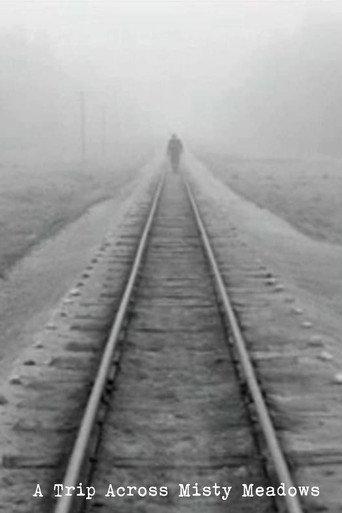 A Trip Across Misty Meadows (1973) poster