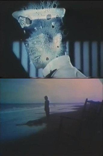 The Eraser (1977) poster