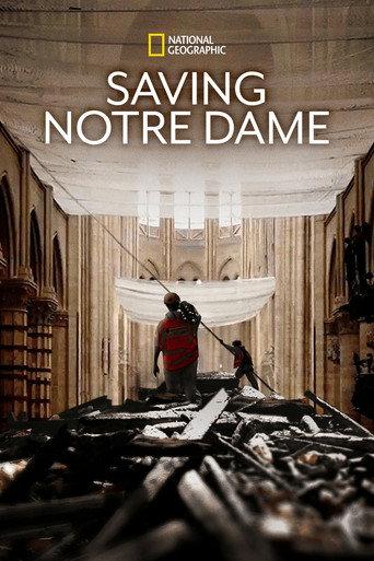 Saving Notre Dame (2020) poster