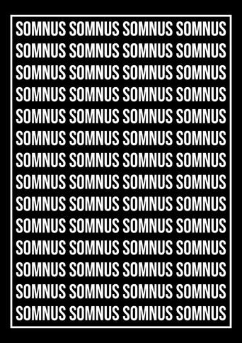 somnus (2024) poster