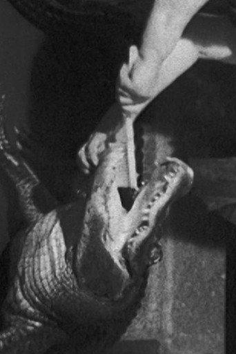 Alligator on Lizard (1971) poster