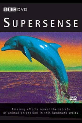 Supersense (1988) poster