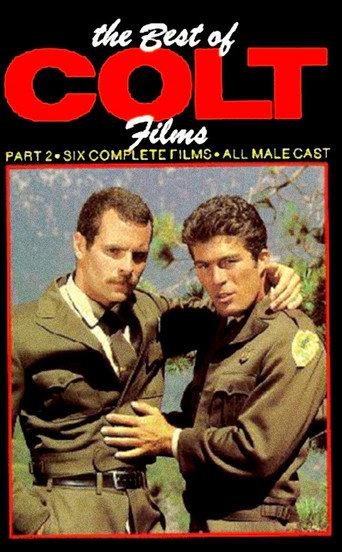 The Best of Colt Films: Part 2 (1983) poster