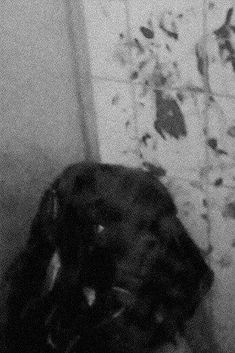 Last Confession (2020) poster