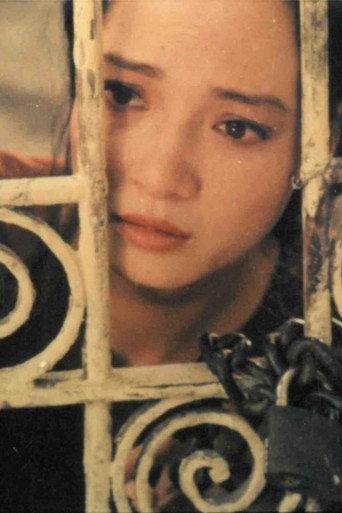 A Love Trap (1992) poster