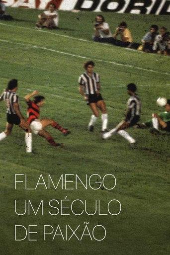 Flamengo: A Century of Passion (1995) poster