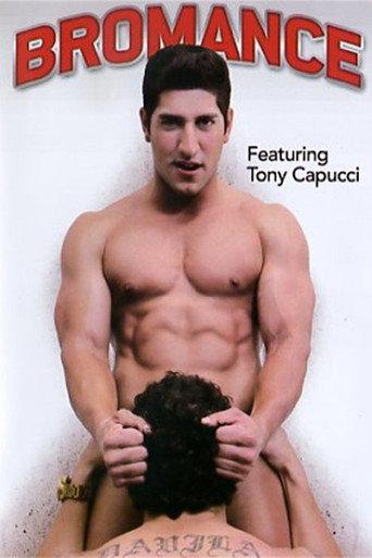 Bromance (2012) poster