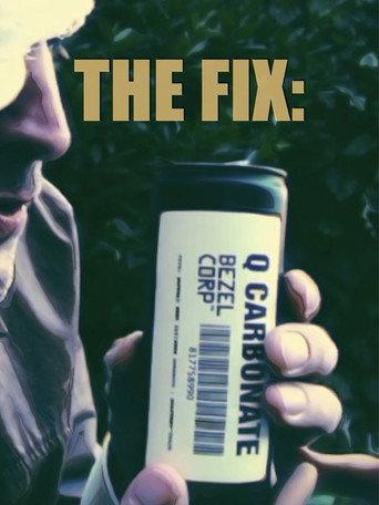 The Fix: (2011) poster