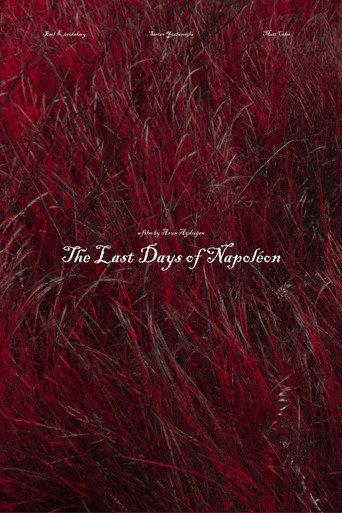 The Last Days of Napoléon (2028) poster