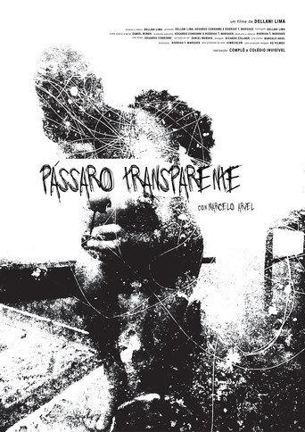 Pássaro Transparente (2017) poster