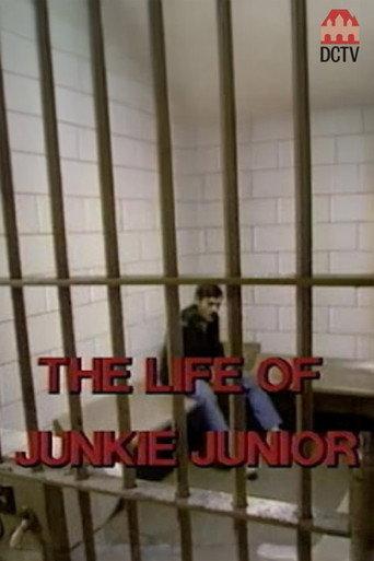 The Story of Junkie Junior (1987) poster