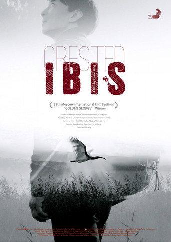 Crested Ibis (2017) poster