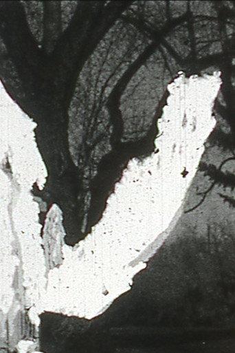 Black Vision (1965) poster
