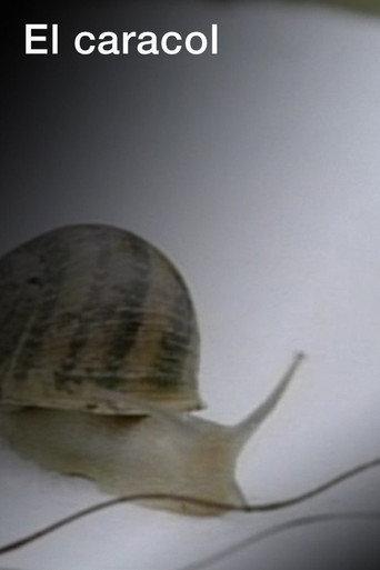 El caracol (2007) poster