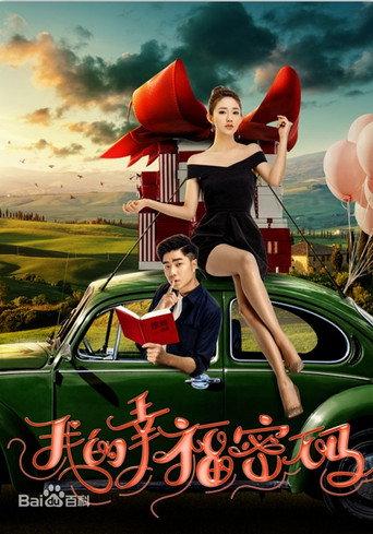 我的幸福密码 (2017) poster