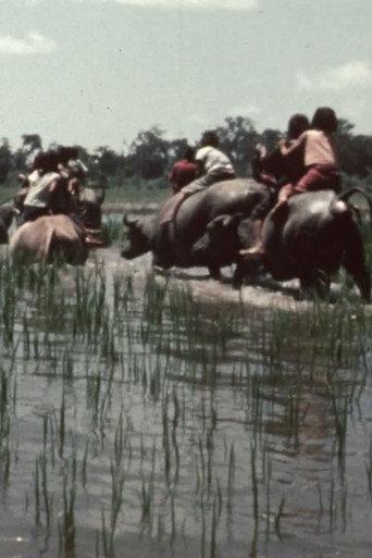 La fête des eaux à Vientiane (1967) poster