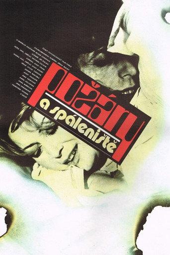 Požáry a spáleniště (1981) poster