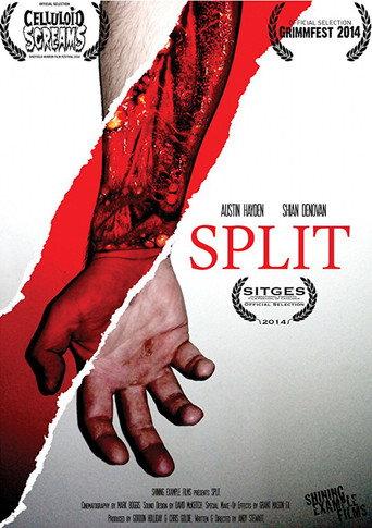 Split (2014) poster