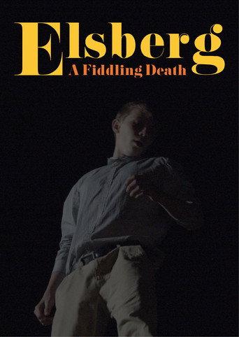Elsberg - A Fiddling death (2024) poster
