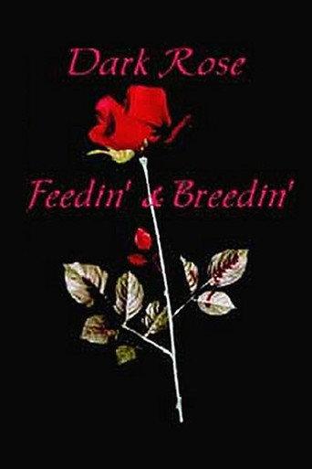 Dark Rose: Feedin' & Breedin' (1998) poster