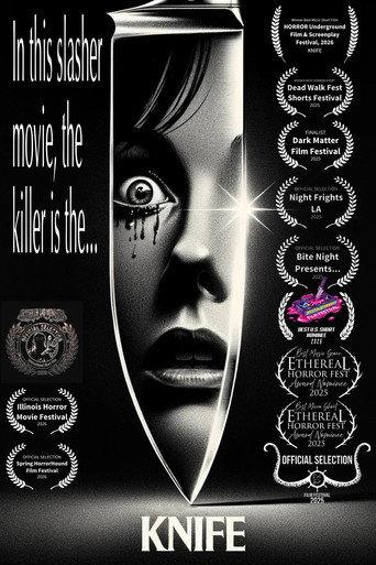 Knife (2024) poster