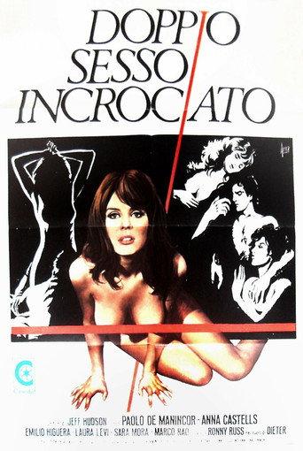 Sexual Doublecross (1980) poster