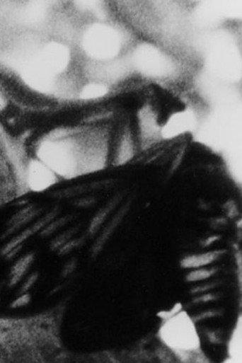 A CICADA (1985) poster