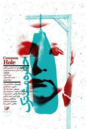 Common Hole () poster