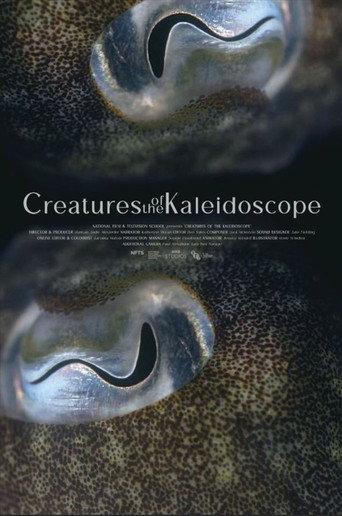 Creatures of the Kaleidoscope (2023) poster