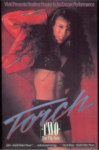 Torch 2 (1991) poster