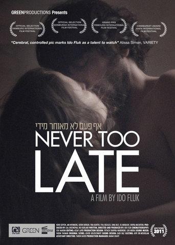 Never Too Late (2011) poster