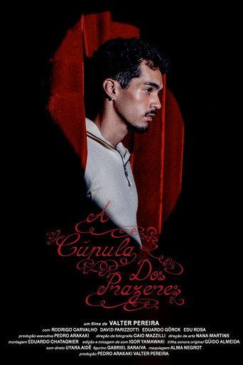 The Pleasure Dome (2026) poster