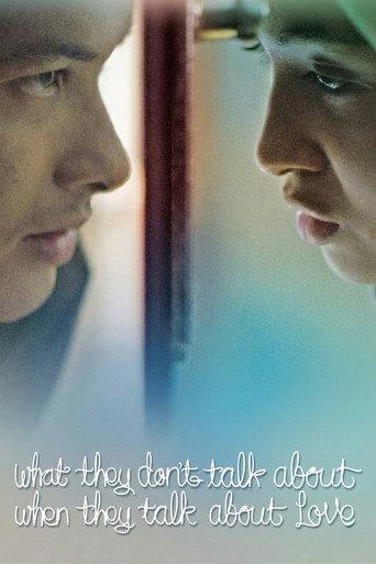 What They Don't Talk About When They Talk About Love (2013) poster