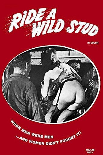 Ride a Wild Stud (1969) poster
