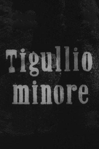 Tigullio minore (1947) poster