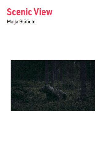 Scenic View (2023) poster
